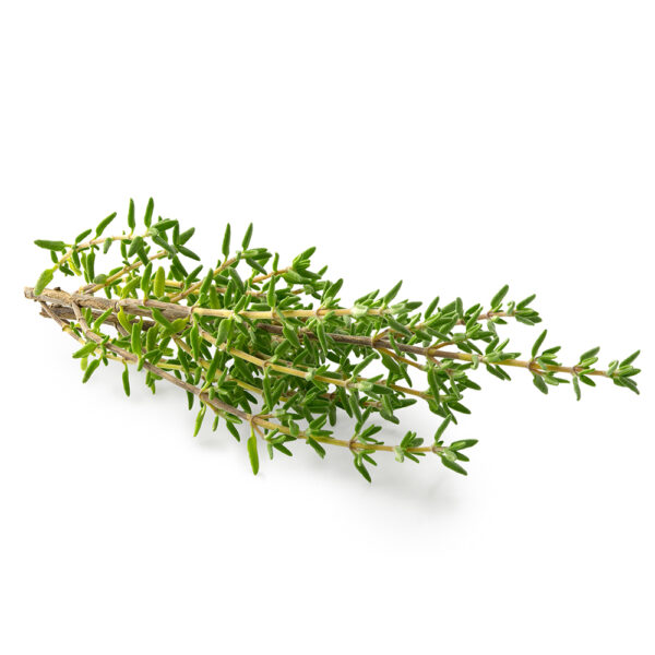 Ducros Thyme – Pack Of 12