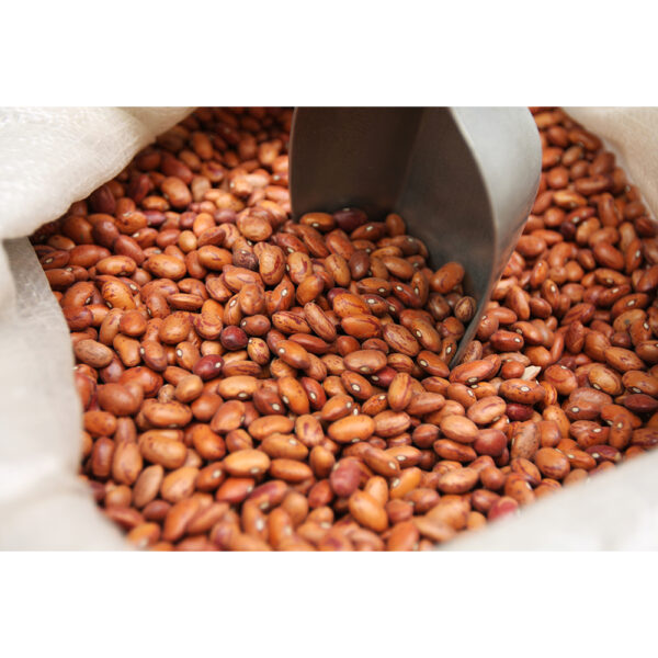 Brown Beans 10 x 0.91 kg